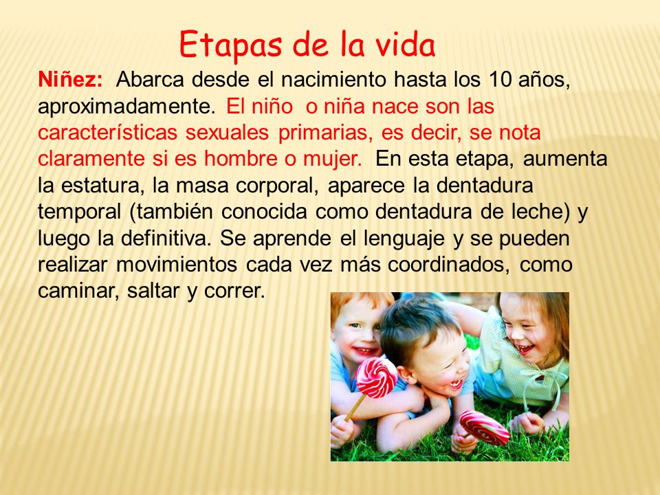 cambios en el cuerpo de un niño cambios en el cuerpo de un niño
